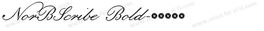 NorBScribe Bold字体转换